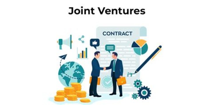 Are joint ventures a good idea?