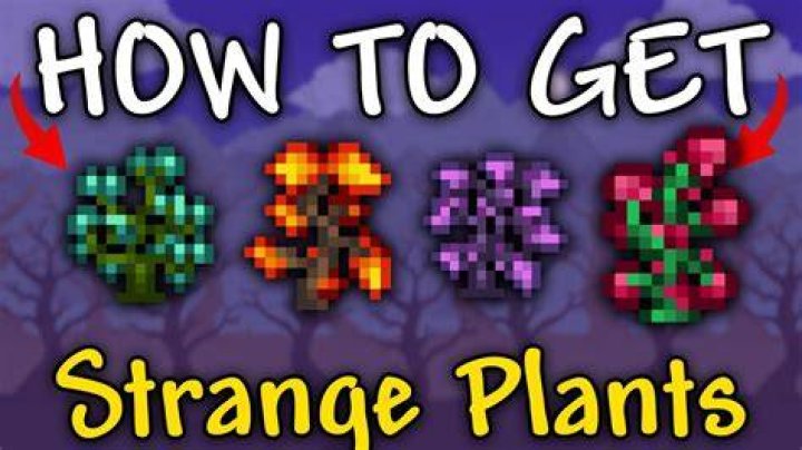 Are there still strange plants in Terraria?