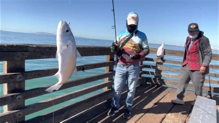 Can I fish at Port Hueneme Pier?