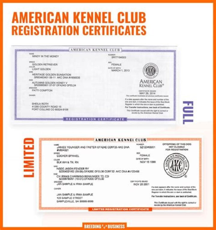 Can you reverse AKC limited registration?