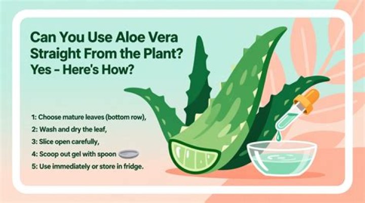 Can you use aloe vera gel on horses?
