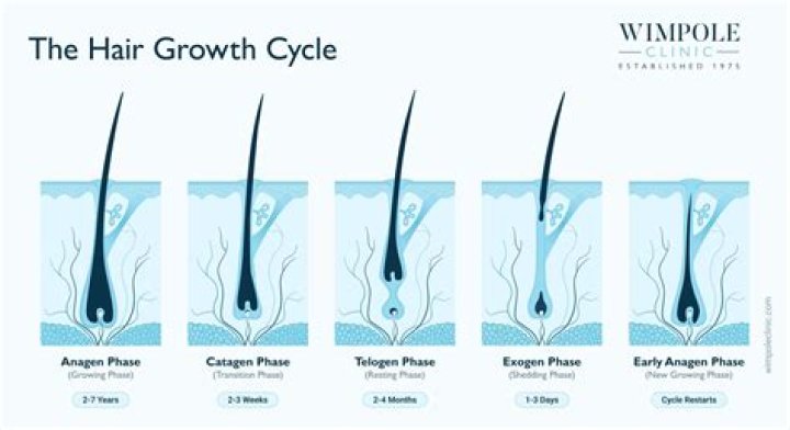 Does hair grow back after exemestane?