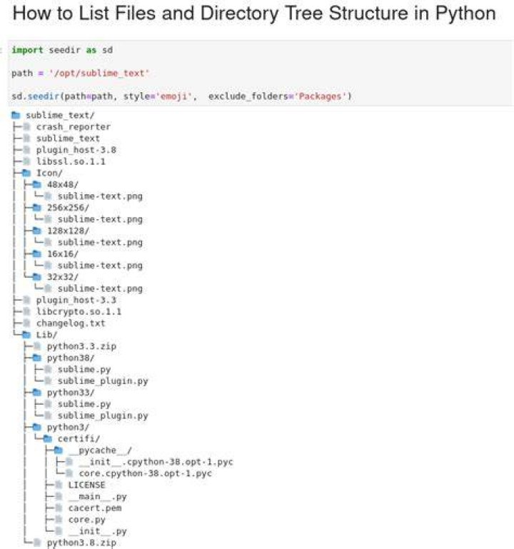 How do I print a directory structure in Python?