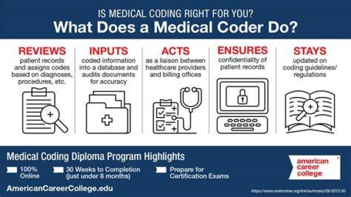How do you become a clinical coder in New Zealand?