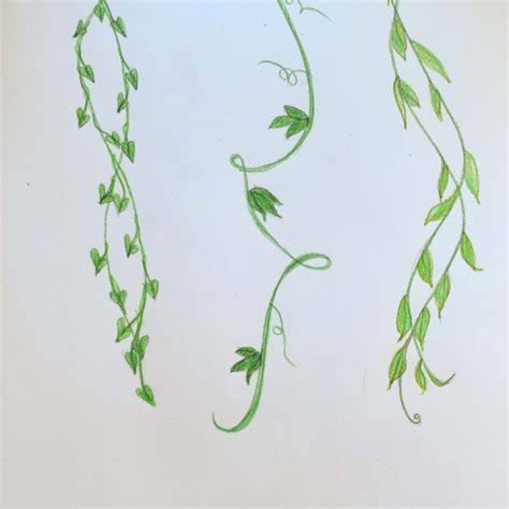 How do you paint a vine on a wall?