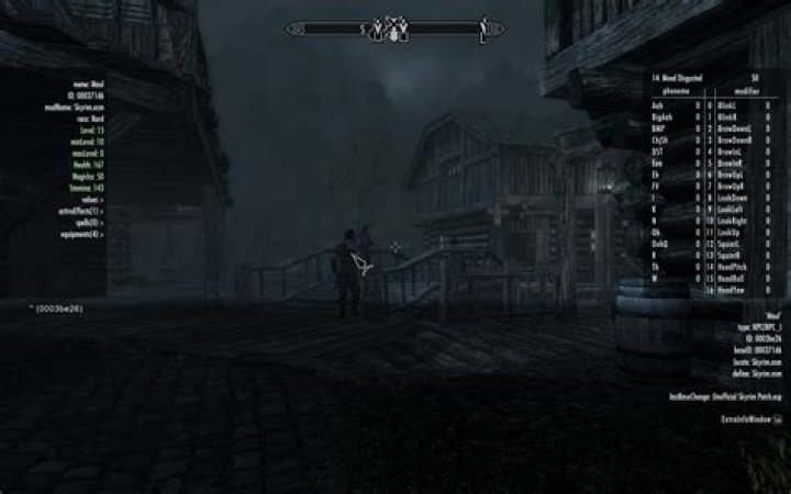 How do you use script commands in Skyrim?