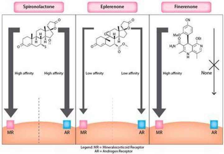 How does eplerenone differ from spironolactone?