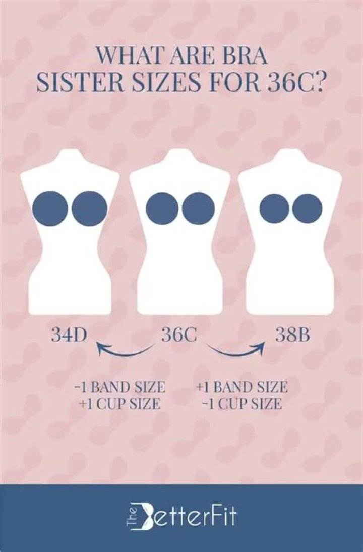 How many inches is a 36D bust?