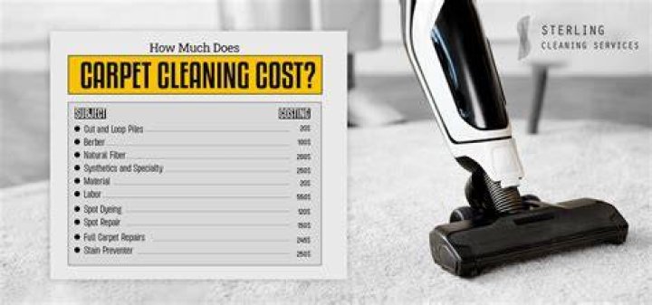How much do carpet cleaning machines cost?