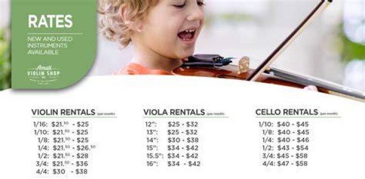 How much does a quarter violin cost?
