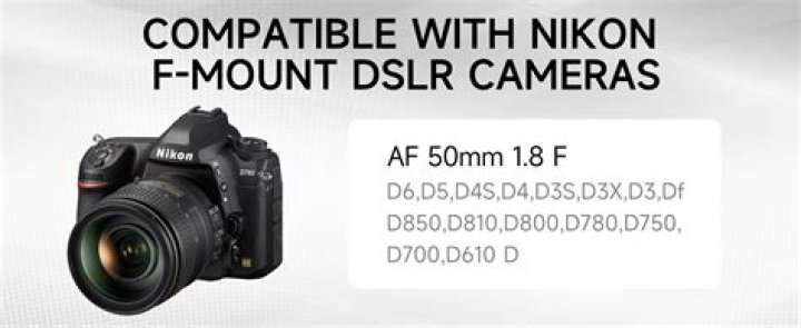Is D80 full frame?