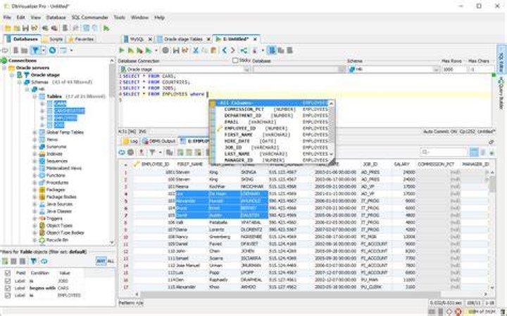 Is DbVisualizer open source?