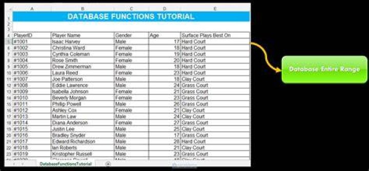 What are the database functions in Excel?