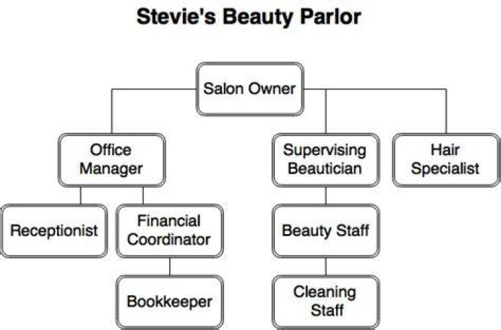 What are the four types of Organisations within the beauty related industries?