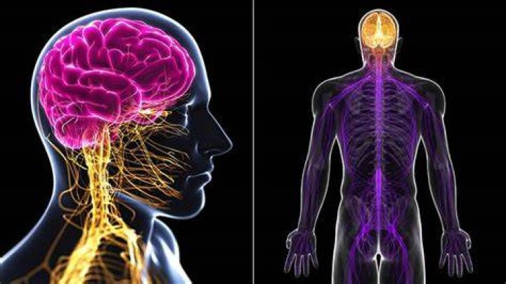 What causes hyperesthesia?