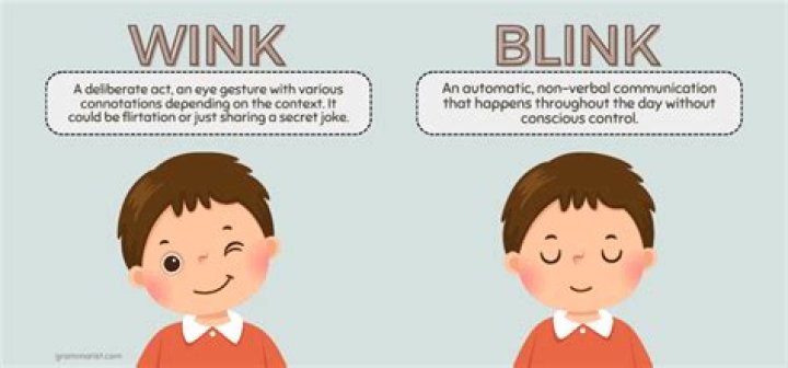 What does a wink mean?