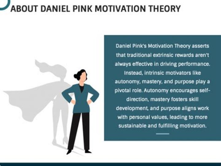 What does Dan Pink say about motivation?