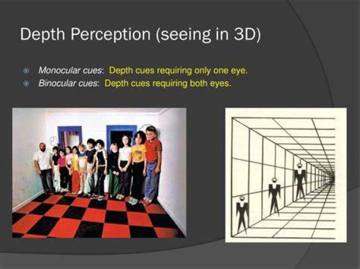 What does it mean to have no depth perception?