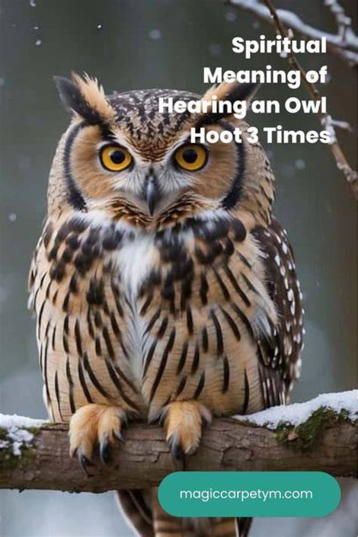 What does it mean when you hear a hoot owl during the day?