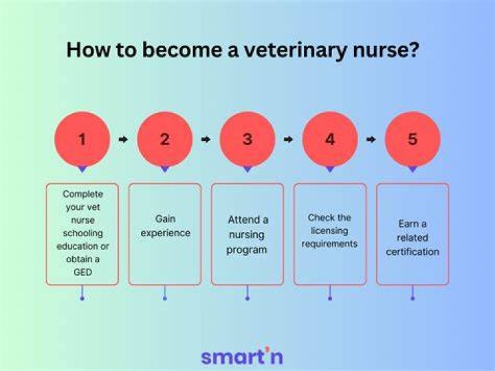 What does it take to become a vet nurse?