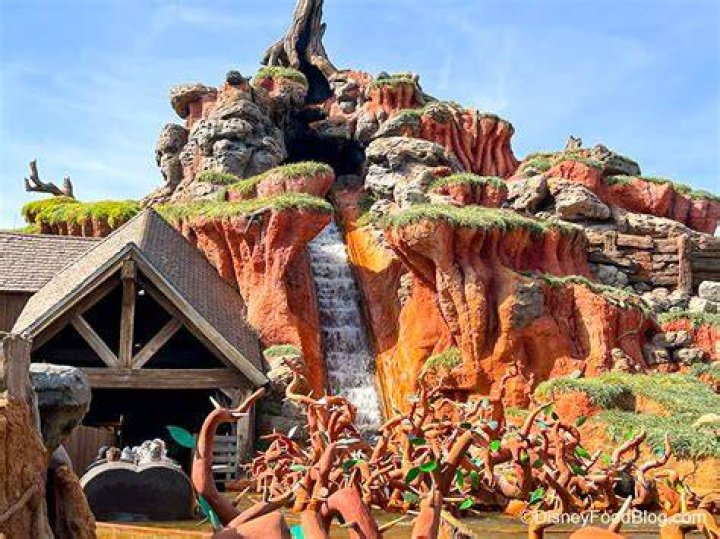 What happened to Disney Splash Mountain?