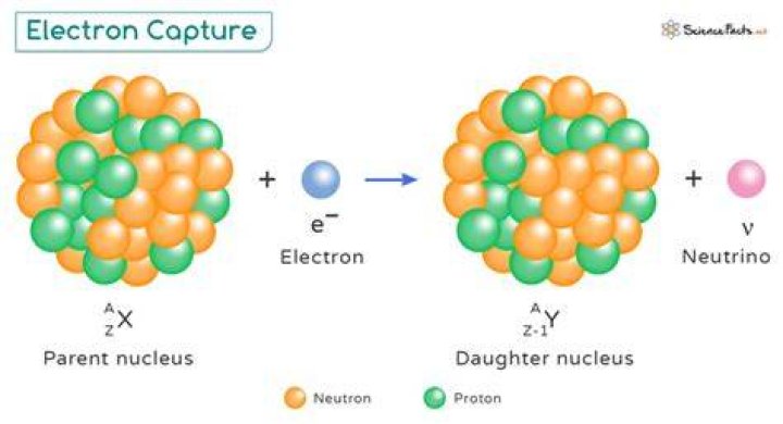 What happens to a proton in electron capture?