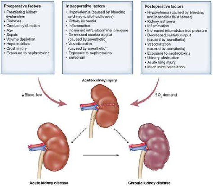 What happens when kidney is insufficiency?