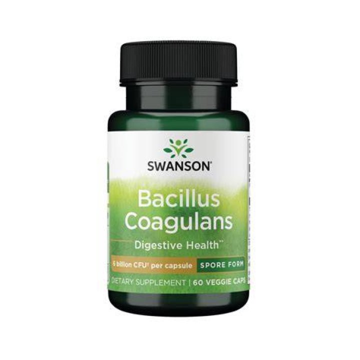 What is Bacillus coagulans good for?