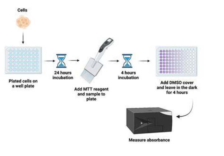 What is cytotoxicity assay?