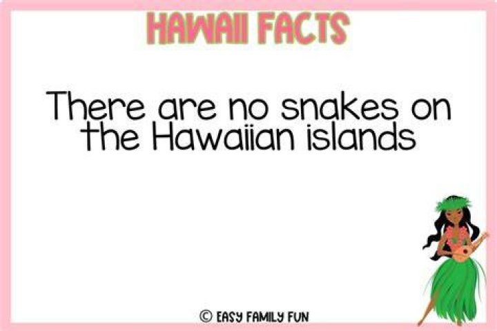 What is Hawaii Fun fact?