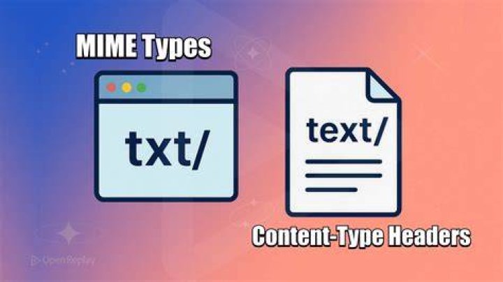 What is JSON MIME type?