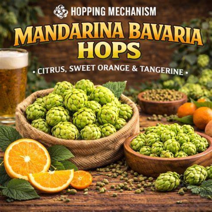 What is Mandarina hops made from?