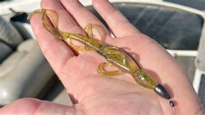 What is the best bait for bass in Texas?
