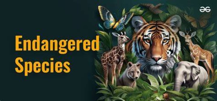 What is the best definition of an endangered species?