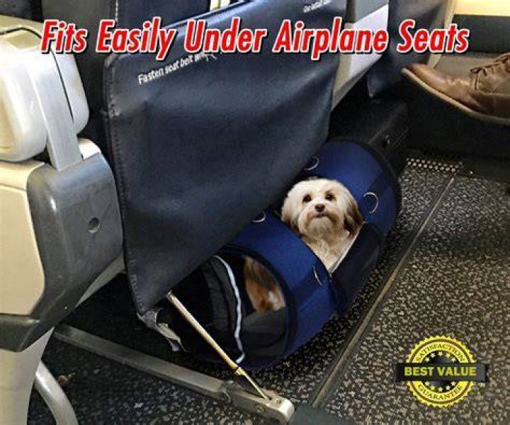 What is the largest size pet carrier fits under airplane seat?