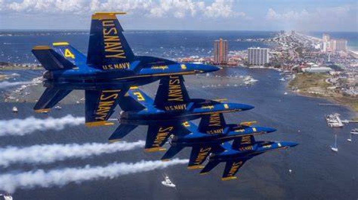 What is the purpose of a task team?
