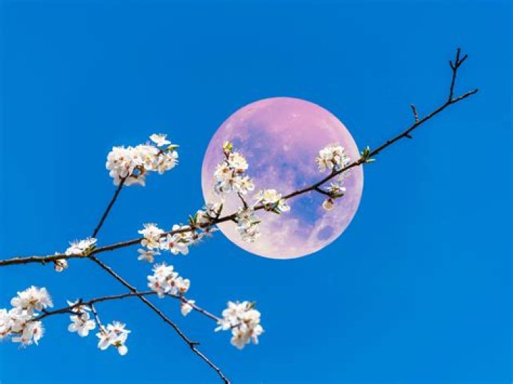 What is the spring moon called?
