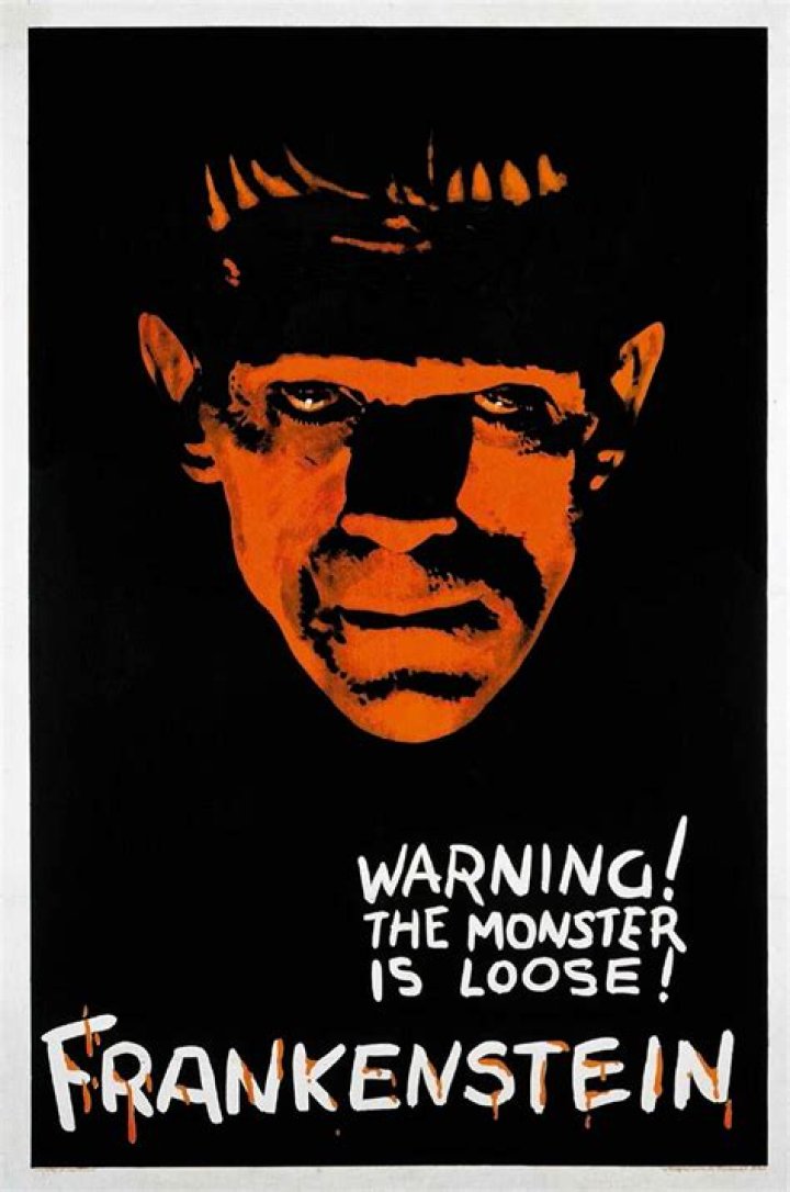 What is the warning at the beginning of Frankenstein?
