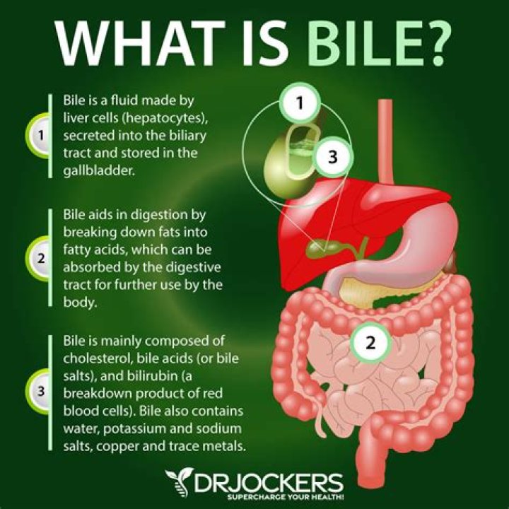 What makes you produce more bile?