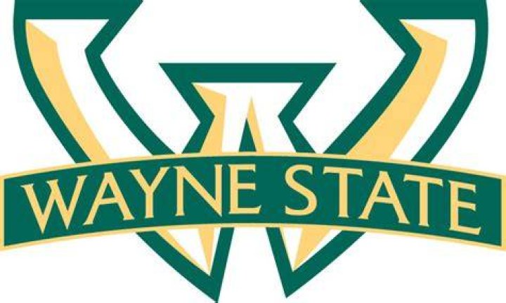 What programs is Wayne State University known for?