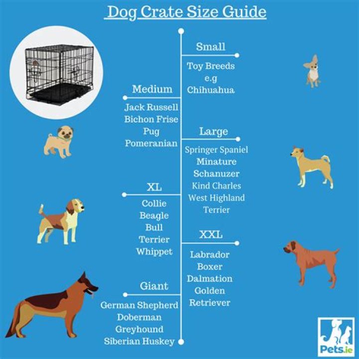 What size crate does a bulldog need?