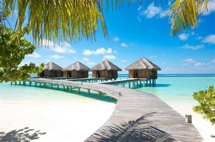 Where is the Ari Atoll in Maldives?