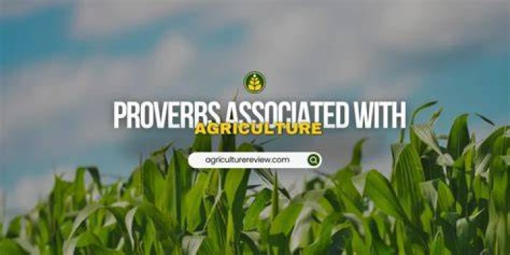 Which are the proverbs associated with agriculture?