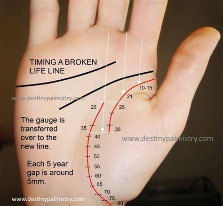 Which line in hand is for life?