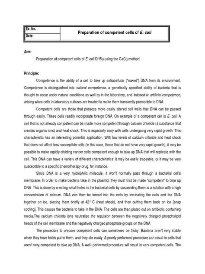 Why MgCl2 is used for competent cell preparation?